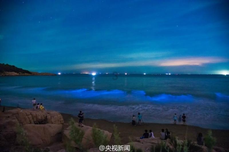 臭屁虫吃吃吃