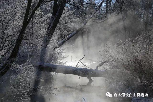 救援受困的奴隶