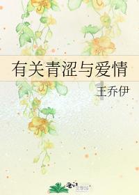驱逐城堡入侵者选关版