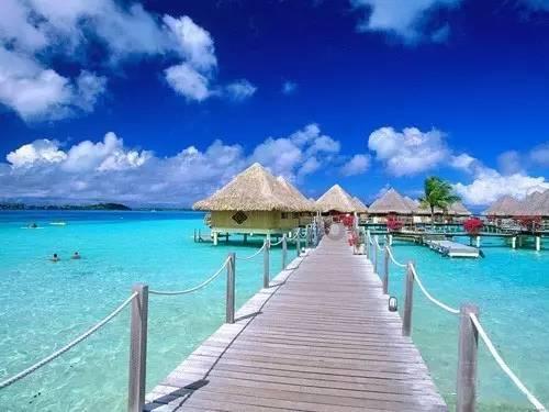 美妙的夏天