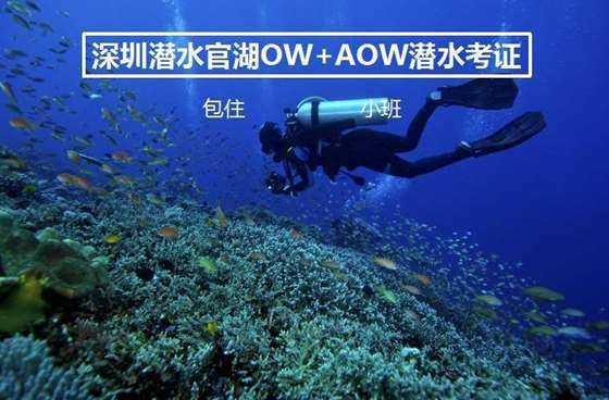 日本战胜印尼 越南绝平伊拉克