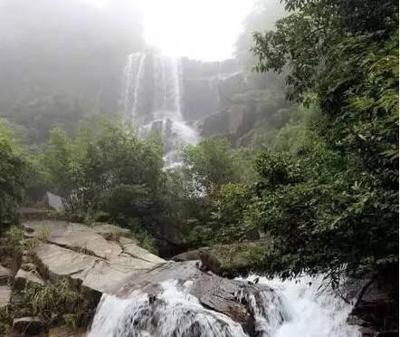 息县：文明行动辞旧岁 清洁家园迎新春